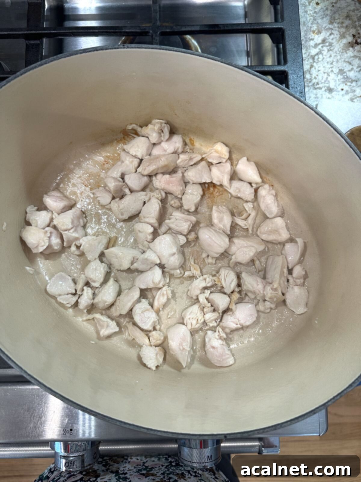 Golden Harvest Chowder 5 Diced chicken browning in a Dutch oven on the stove, having just been added to the hot bacon drippings.