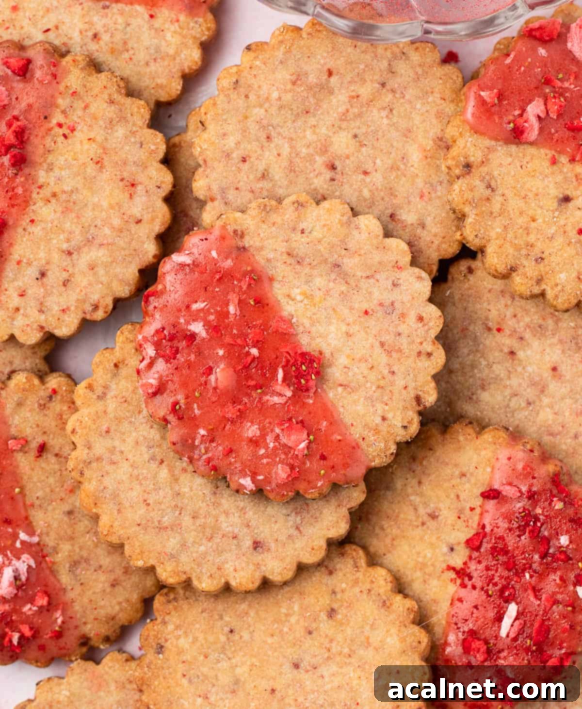 Close up on a cookie see from above.