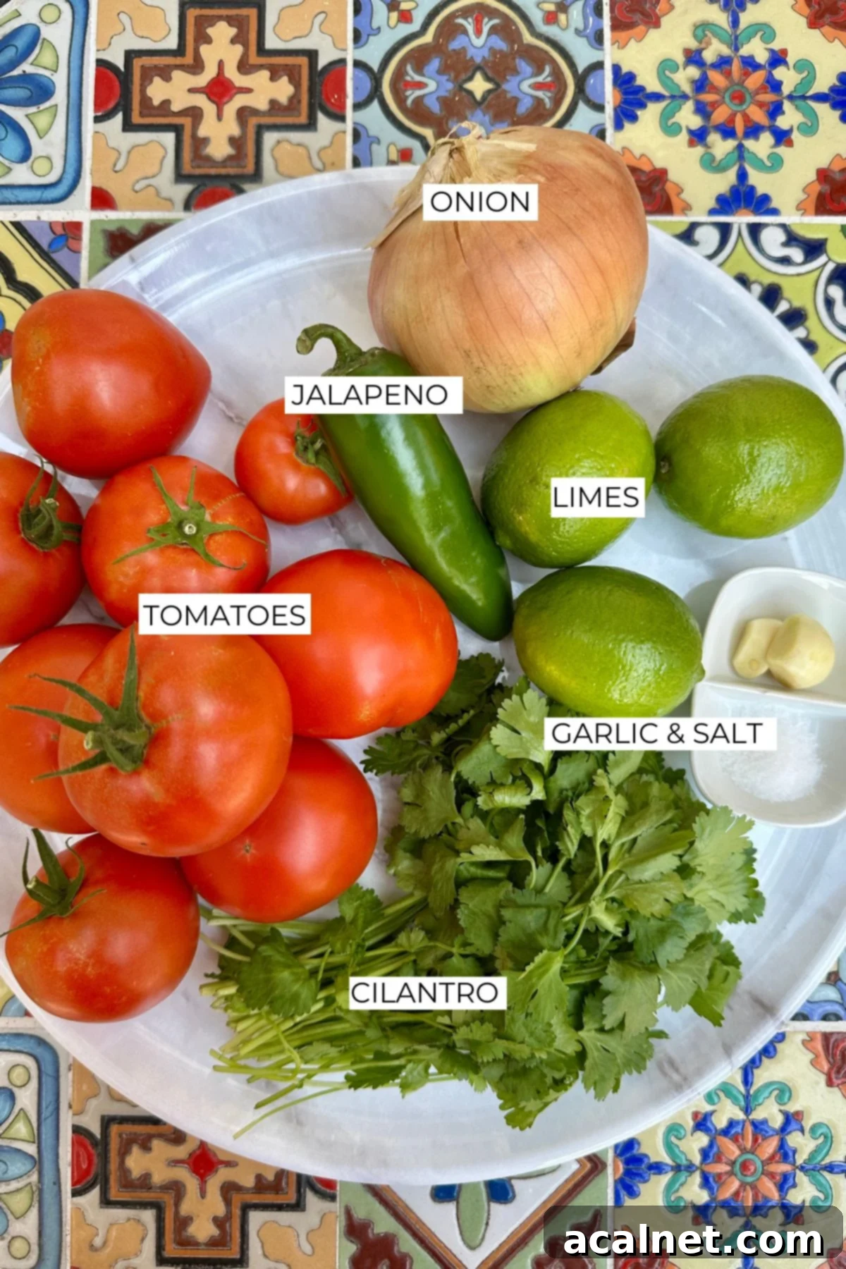 Zesty Jalapeño-Lime Pico de Gallo 4 A beautiful flat lay of fresh, vibrant ingredients for homemade pico de gallo, clearly labeled: ripe tomatoes, sweet onion, bright green jalapeño, and juicy limes.