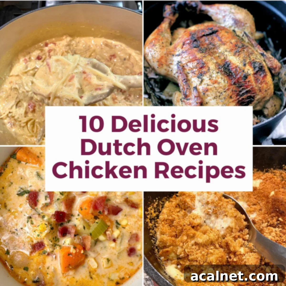 A collage of various delicious Dutch oven chicken recipes, showcasing golden roast chicken, creamy soups, and savory casseroles.
