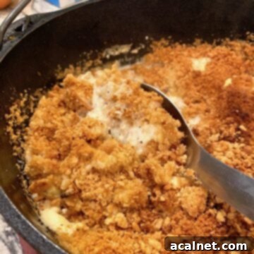 A bubbling Dutch oven chicken casserole, topped with a crunchy, golden cracker and poppy seed crust.