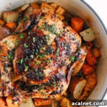 A perfectly roasted whole Dutch oven chicken with golden-brown skin, surrounded by tender root vegetables.