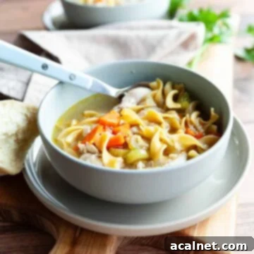 A large bowl of steaming Dutch oven chicken noodle soup, garnished with fresh dill.