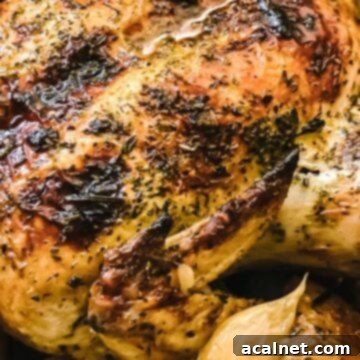 A beautiful Greek Dutch oven roast chicken, with golden, crispy skin, served with roasted potatoes and lemons.