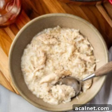 A comforting bowl of One Pot Southern Chicken and Rice, featuring tender chicken and fluffy rice.