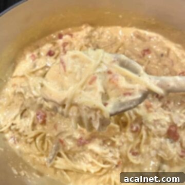 Creamy chicken spaghetti with Rotel tomatoes, cooking in a Dutch oven on the stovetop, ready to serve.