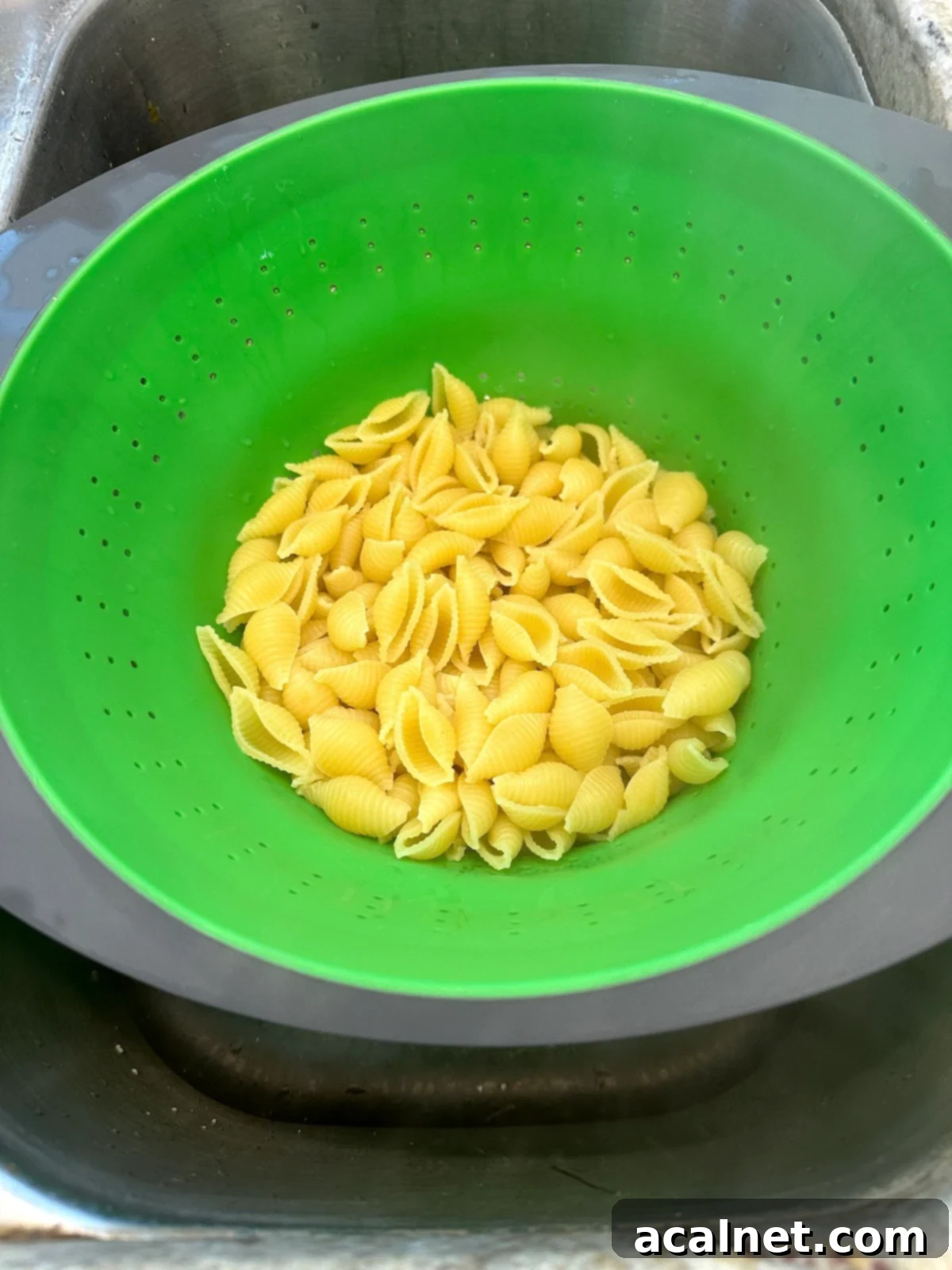 Cooked pasta in a colander in the sink.
