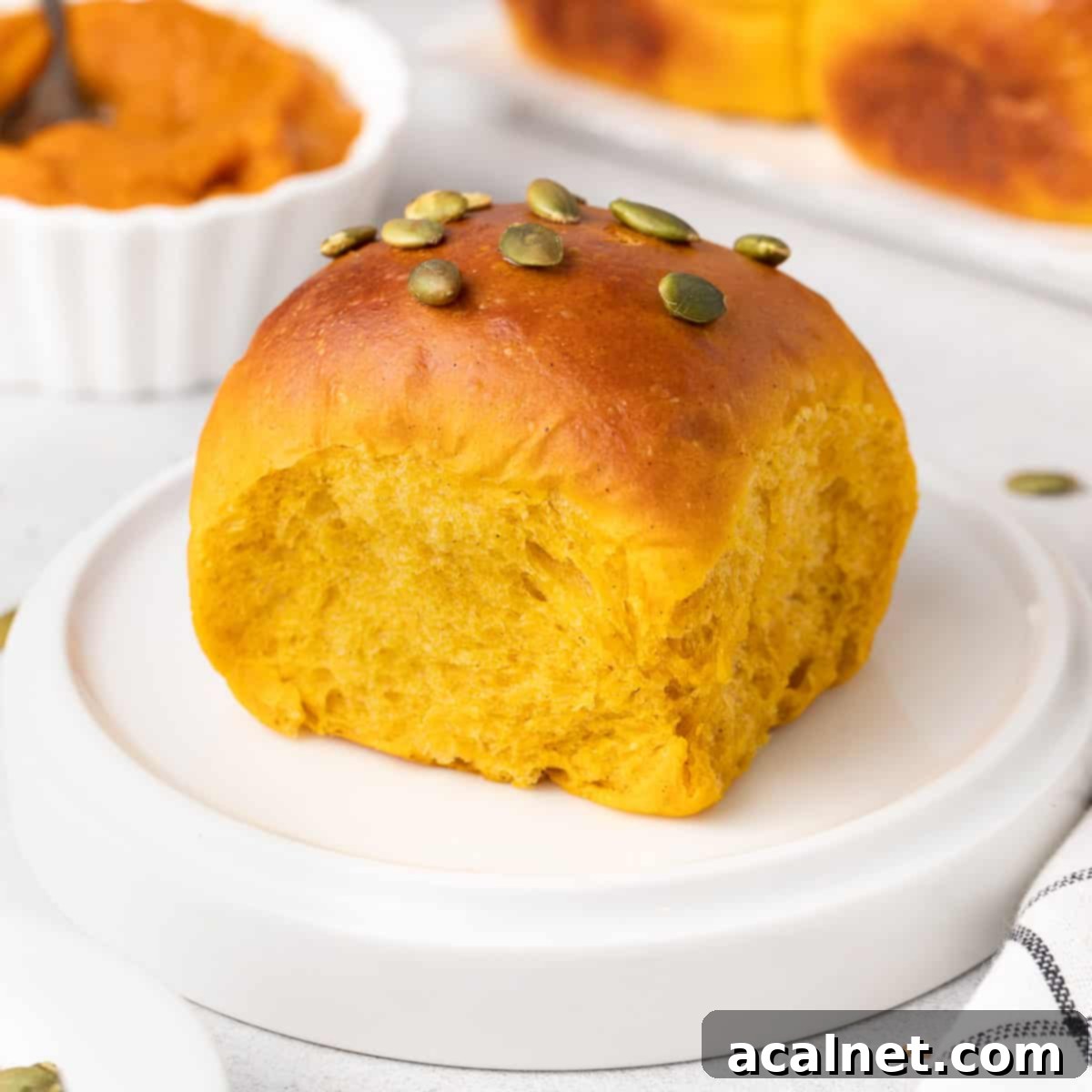 Close up on one pumpkin roll over a small white plate, showcasing its soft texture and golden-brown crust.