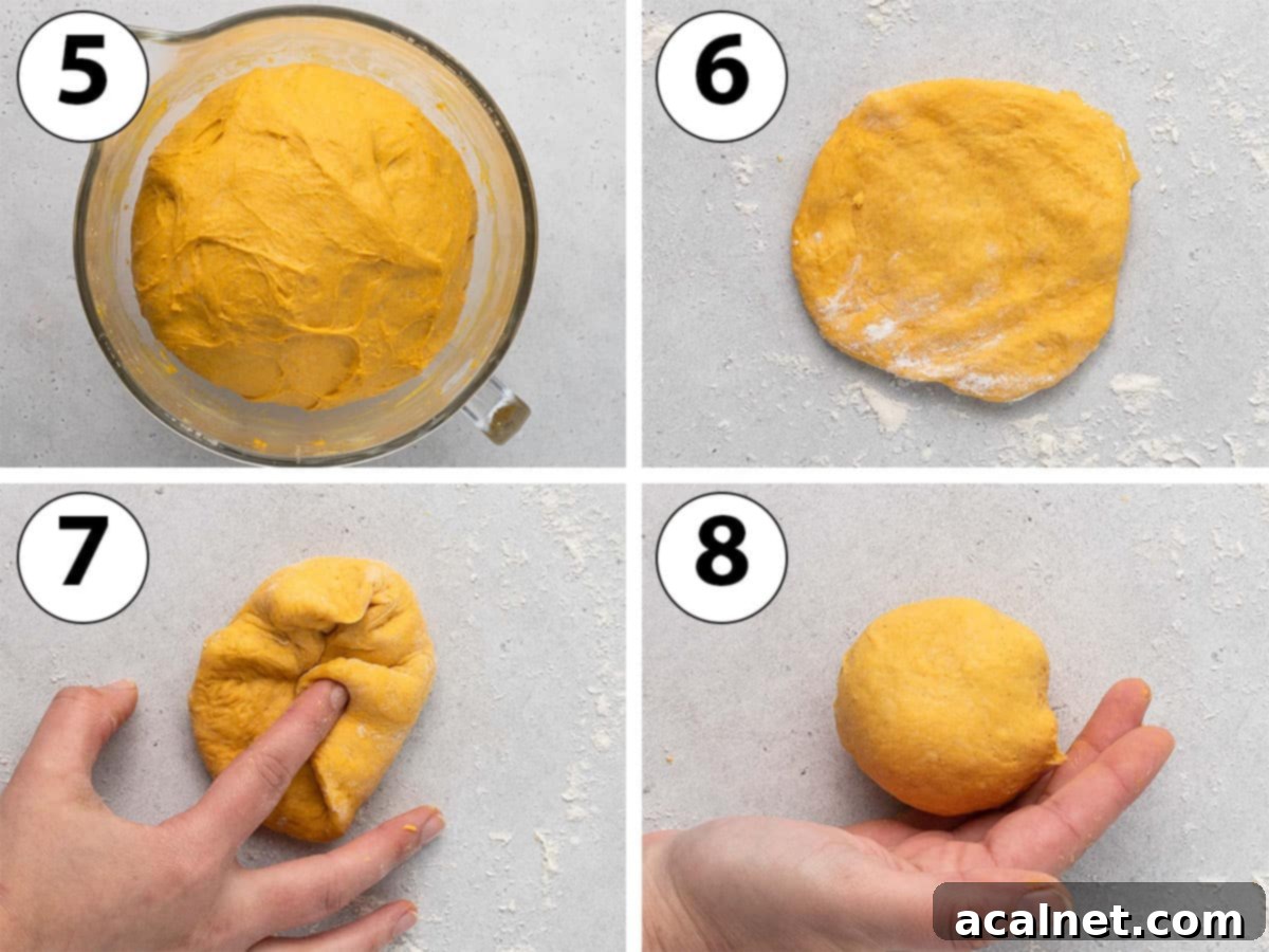 Process Shot Collage showing the dough after its first rise and the steps for shaping individual pumpkin buns.