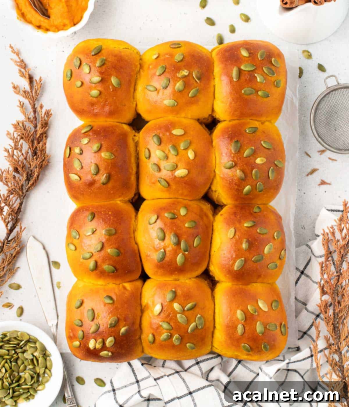 Freshly baked pumpkin buns in a baking pan, viewed from above, with a beautiful golden crust.