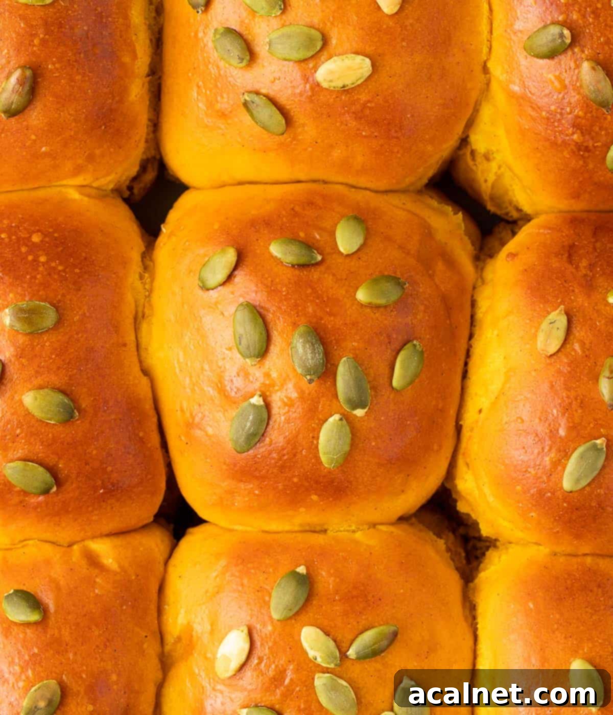 A close-up view of a pan full of perfectly baked, golden-brown pumpkin buns, ready to be enjoyed.