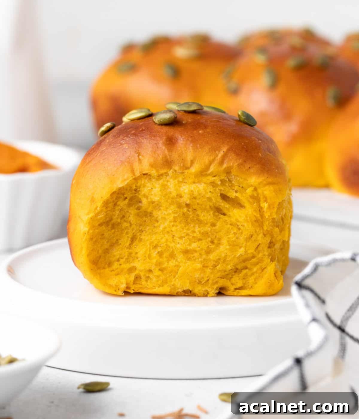 A single, perfectly baked pumpkin bun resting on a small white plate, ready to be enjoyed.