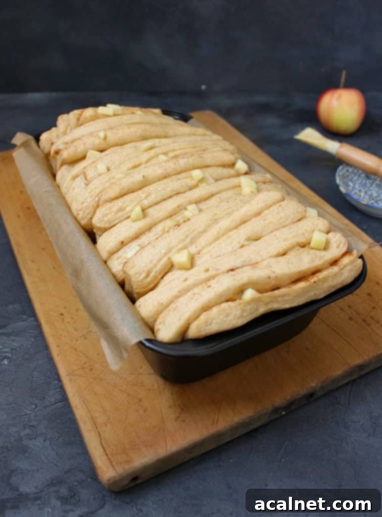 Unbaked Pull Apart Bread in the loaf pan
