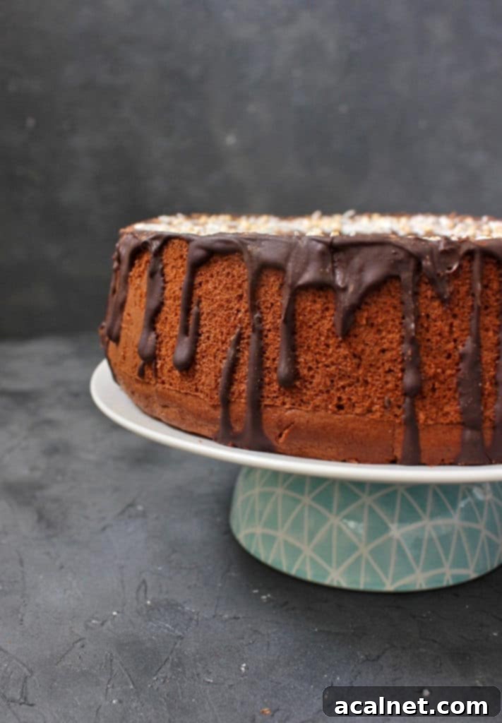 A tempting side view of the fluffy Chocolate Chiffon Cake adorned with a generous layer of Coffee Chocolate Ganache, resting on a white and blue cake stand.
