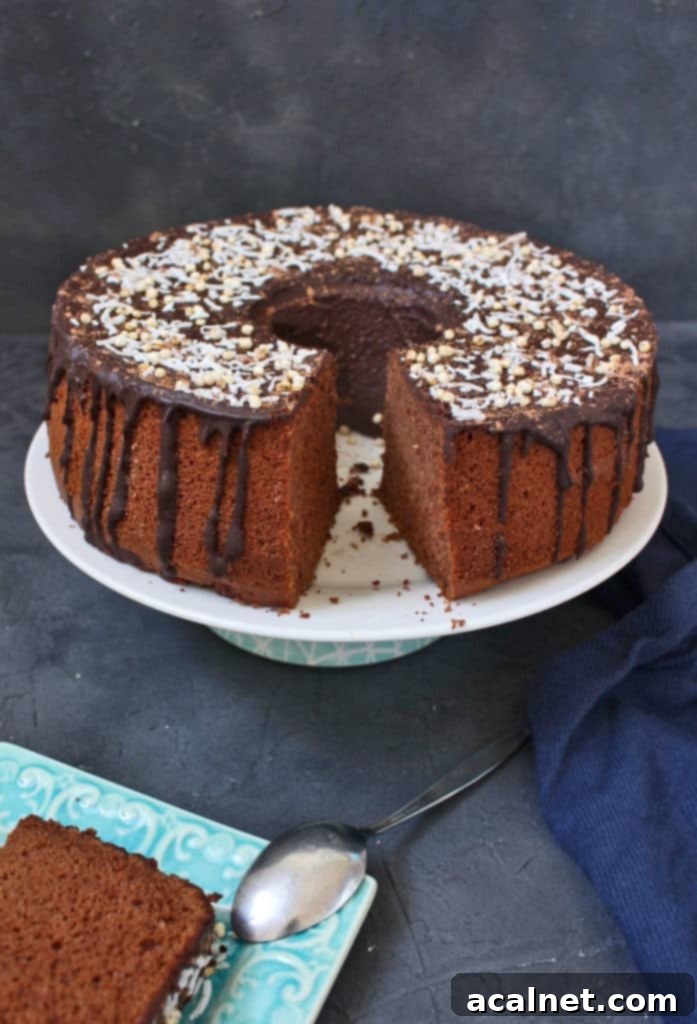 A slice of the airy Chocolate Chiffon Cake, showing its delicate texture, cut from the main cake and placed on a white and blue cake stand.
