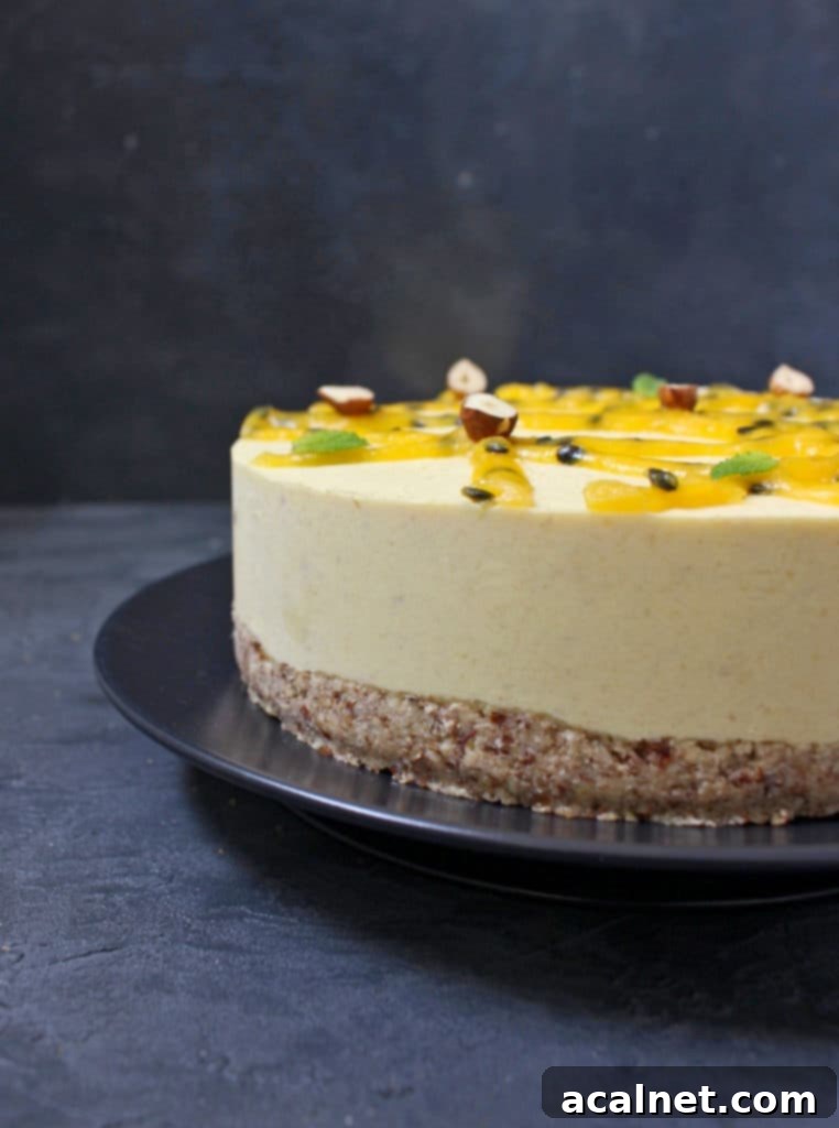 Vegan No-Bake Mango Cheesecake 4 Side view on the cake with the nut base, mango cashew cream and tropical glaze layers clearly visible.