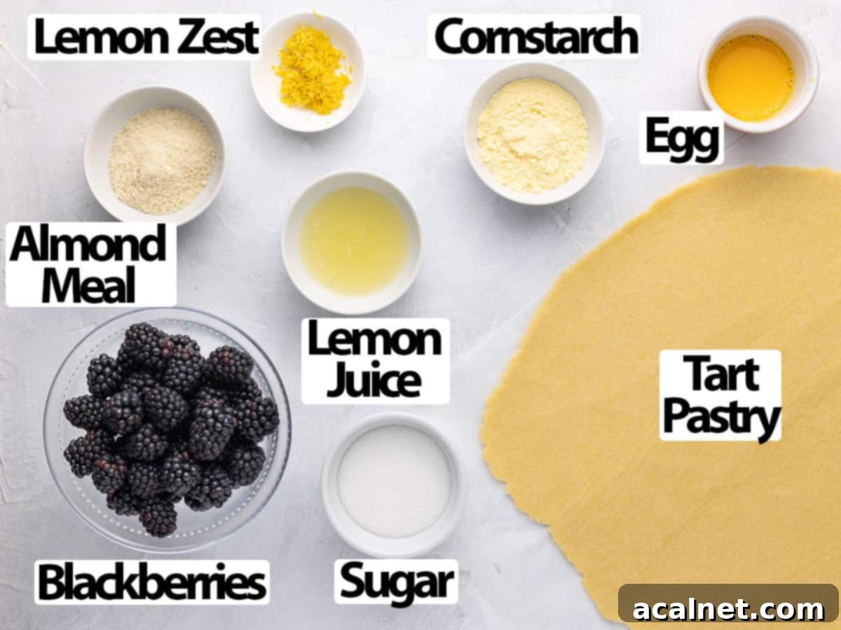 A flat lay arrangement of ingredients for a blackberry tart, including flour, sugar, butter, fresh blackberries, lemon, and cornstarch, all neatly organized on a white surface.