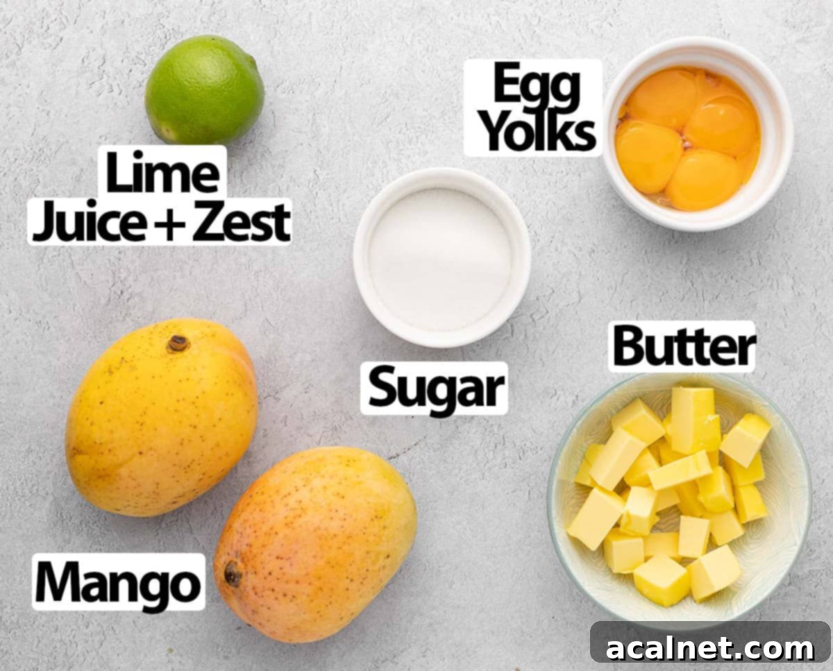 Ingredients placed on a grey surface.