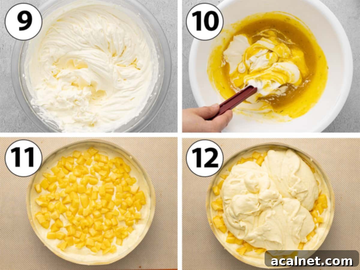 Tropical Mango Mousse Cake 6 A process shot collage showing the whipping of cream, gentle folding into the mango mixture, and the assembly of the mousse cake over the sablé base.