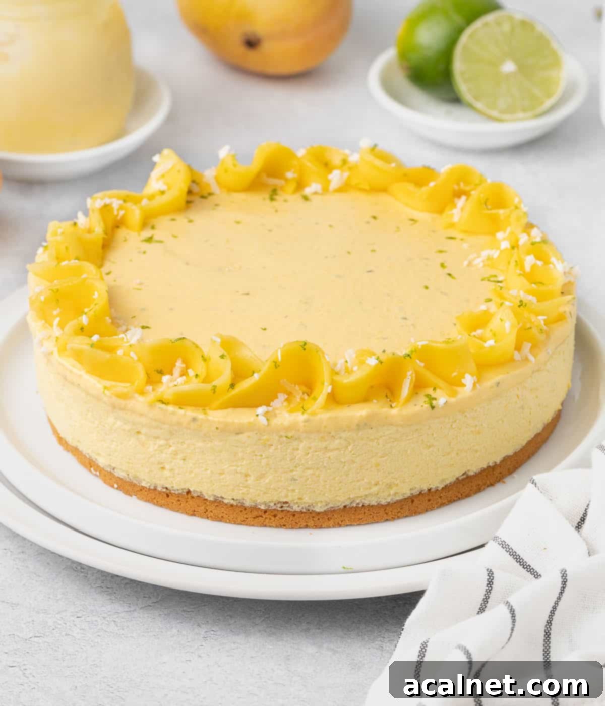 Tropical Mango Mousse Cake 8 The finished mango mousse cake artfully arranged on two large white plates, with fresh mangoes and limes visible in the background, highlighting its tropical appeal.