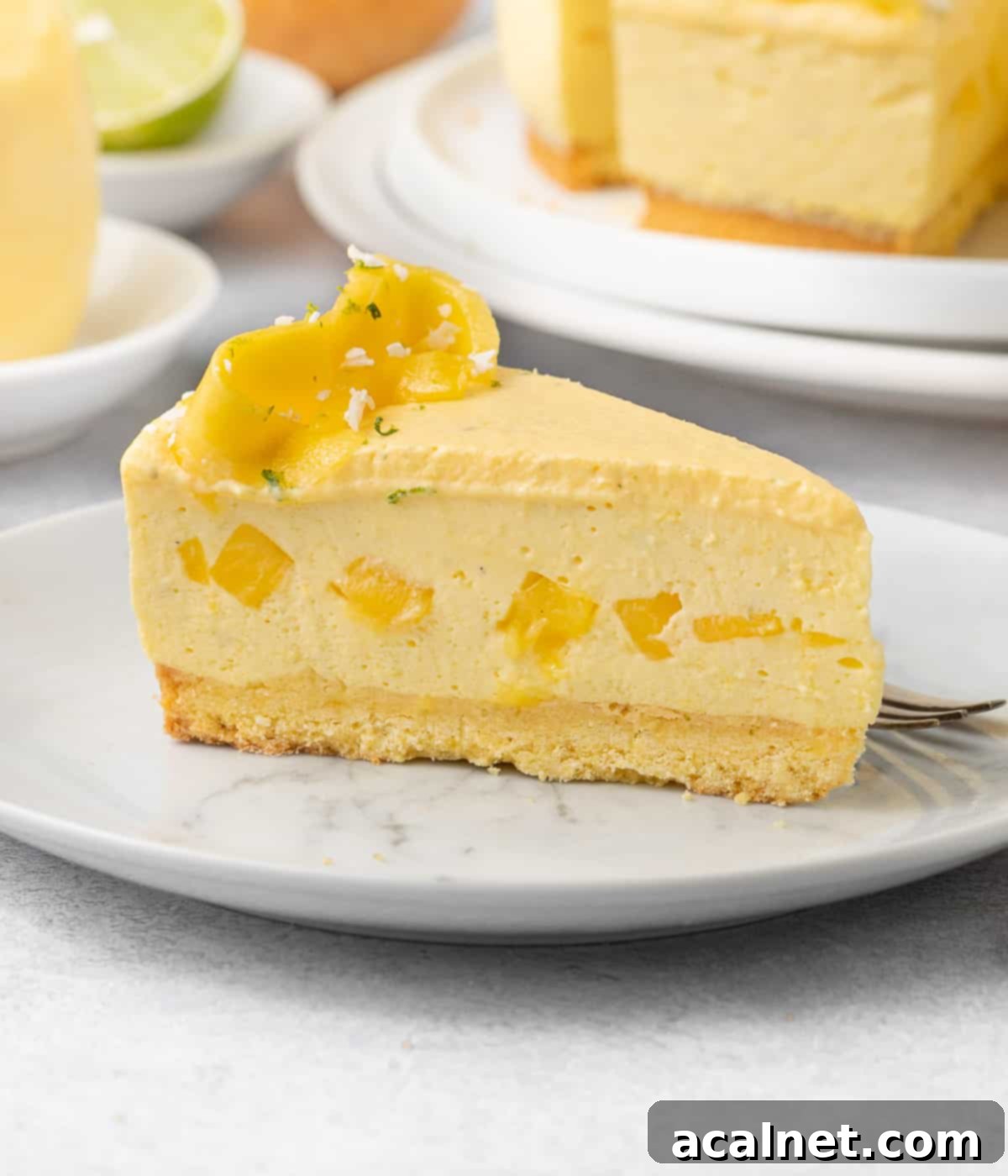 Tropical Mango Mousse Cake 10 A single, perfectly cut slice of mango mousse cake presented on a small white plate, ready to be enjoyed.