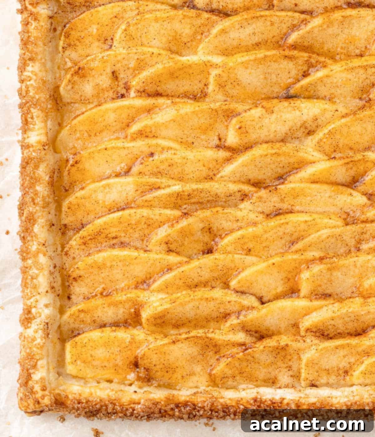 Close up on the tart seen from above.