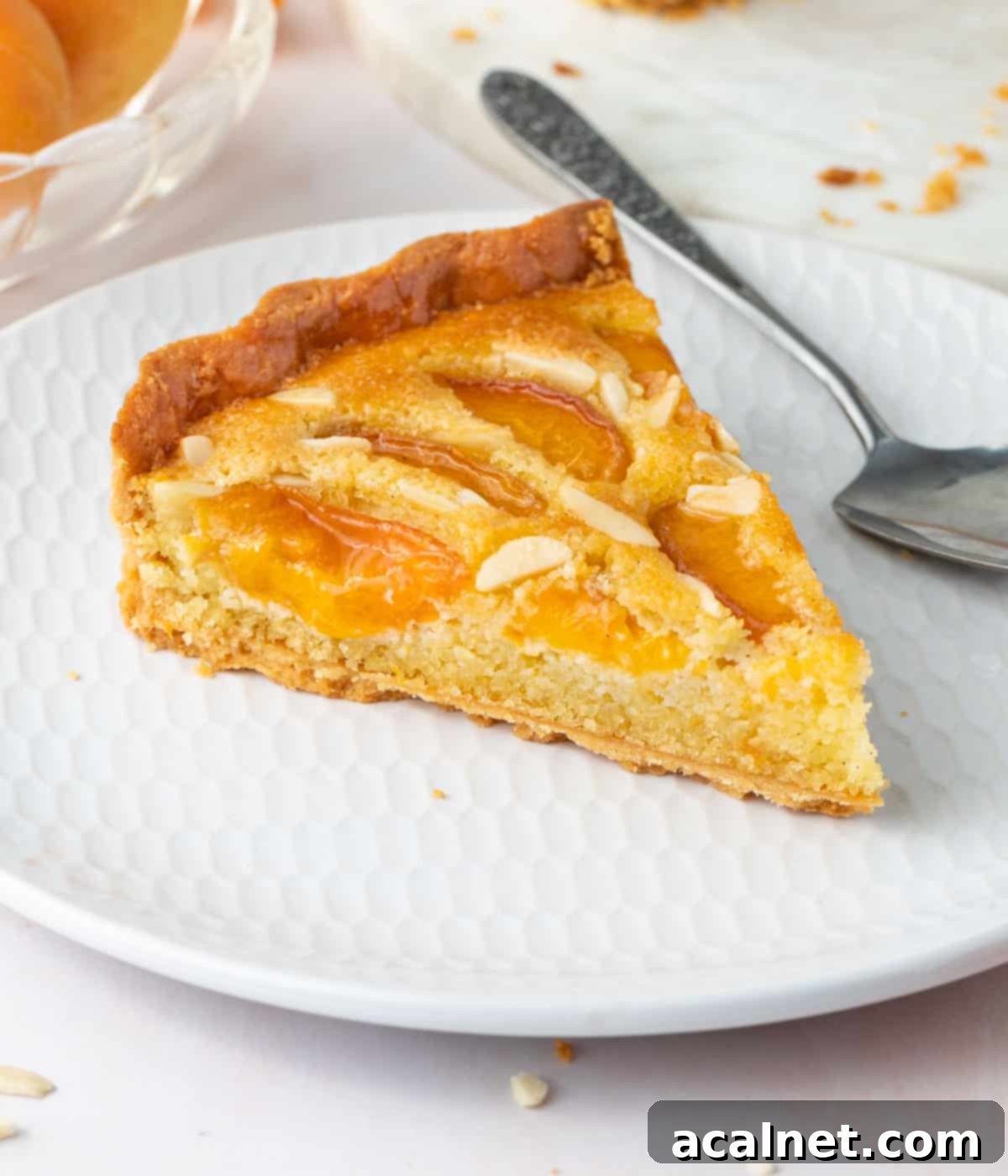 One slice of tart on a small white plate.