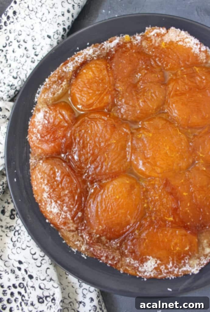 Caramelised Apricots in a pan, from above