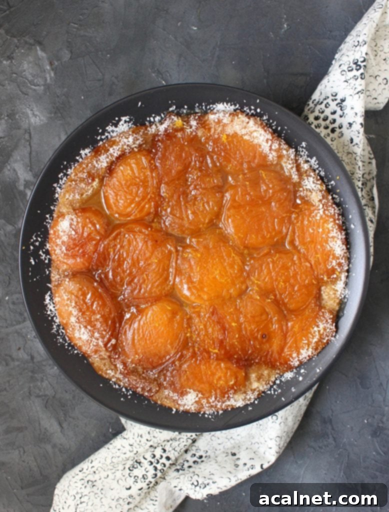Apricot Tart Flatlay, showing slices of apricot tarte tatin