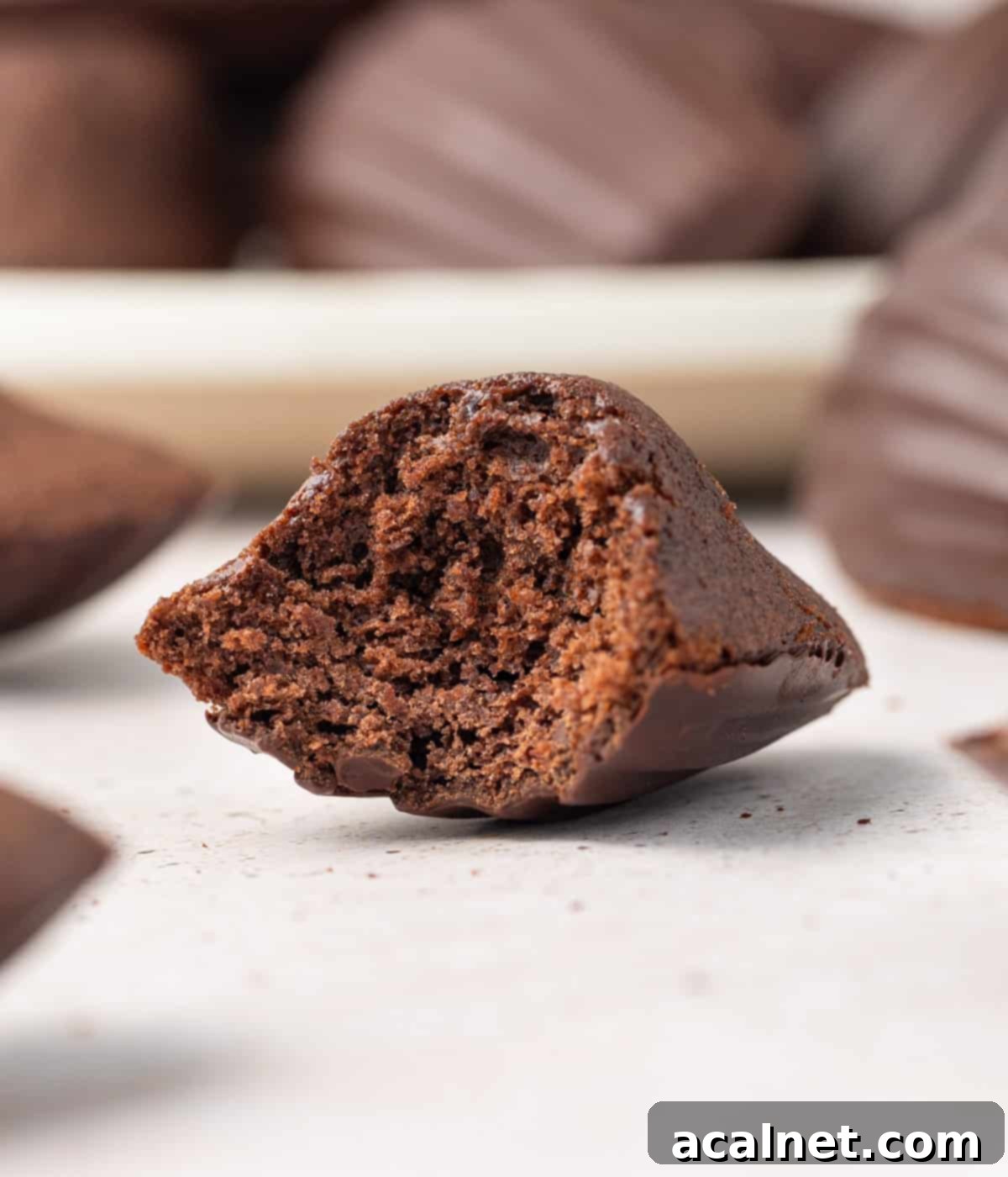 Crumb shot - close up on one madeleine with a bite taken off.