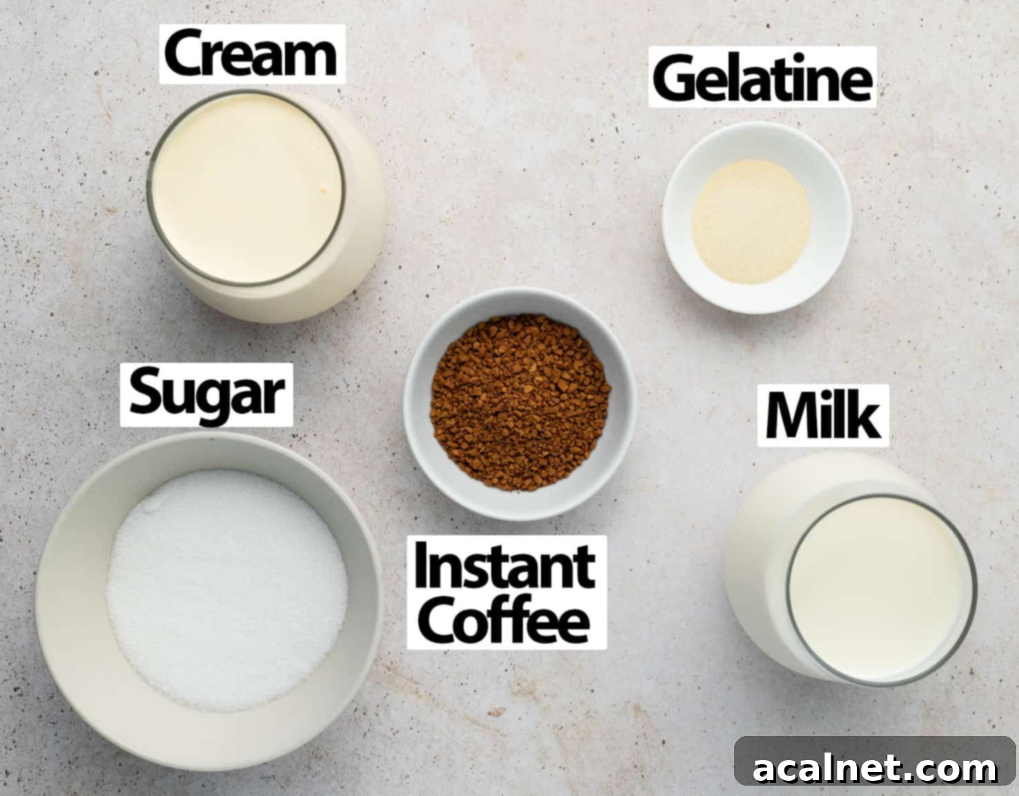 A flat lay shot showcasing the five core ingredients for coffee panna cotta: milk, heavy cream, caster sugar, instant coffee granules, and gelatin powder, all neatly arranged on a light beige surface.