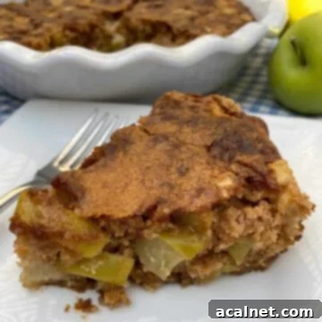 A wedge of apple cake with the baking dish and an apple in the background.