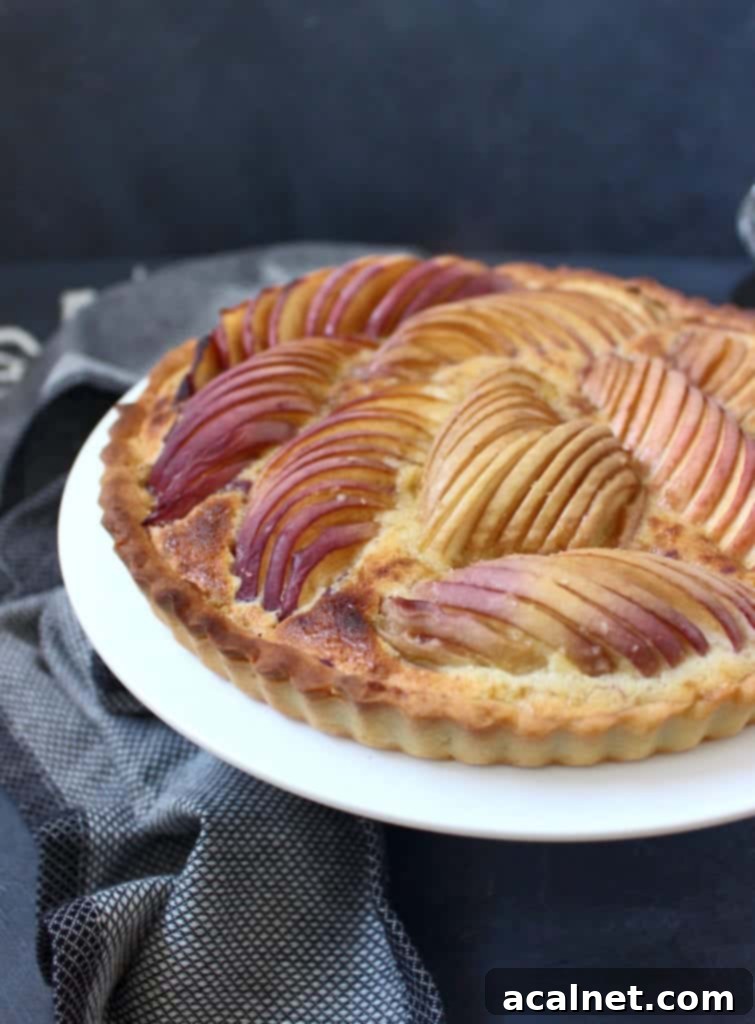 Side view of the tart showing details of the disposition of the peaches on the cream.