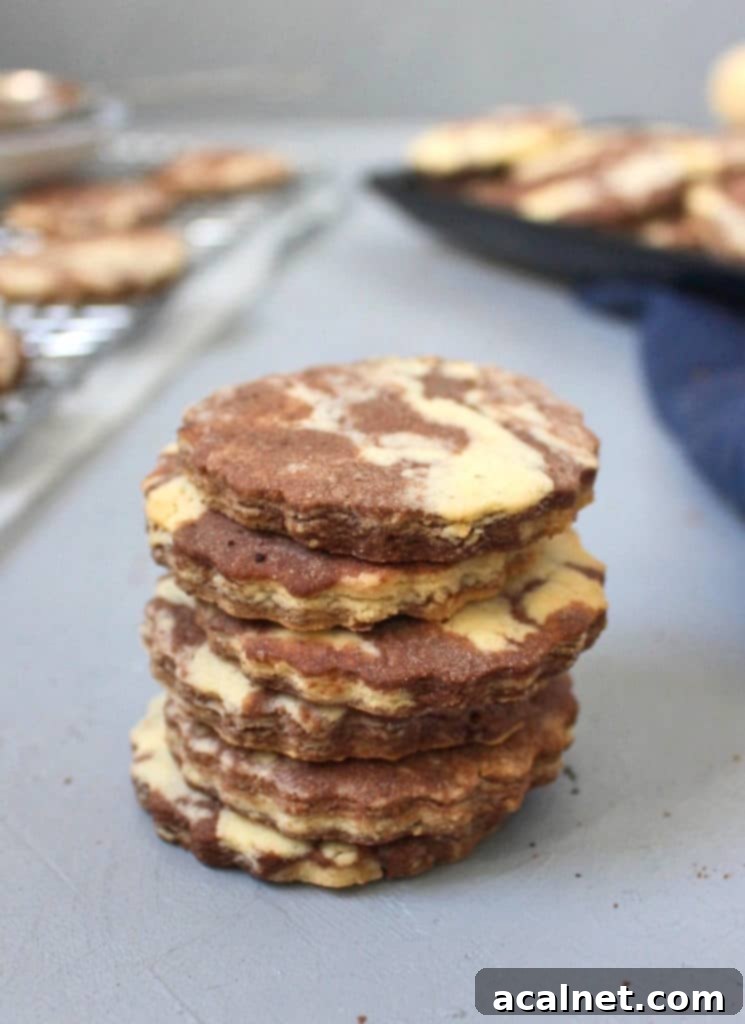 Stack of freshly baked Vanilla Chocolate Marble Cookies, showing their distinct layers and inviting texture.