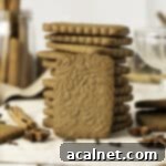 One speculoos cookie sitting upright against a stack of cookies.