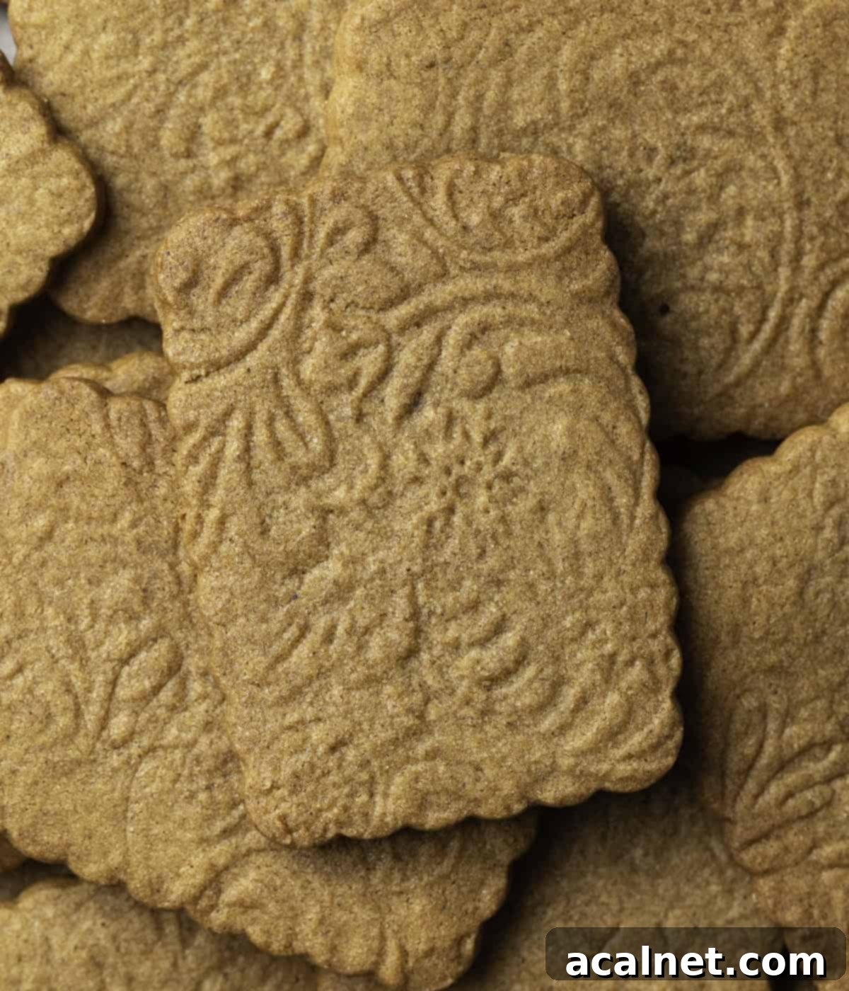 A close-up shot of an embossed Speculoos cookie, beautifully detailed, resting on a stack of other golden-brown cookies, seen from above.