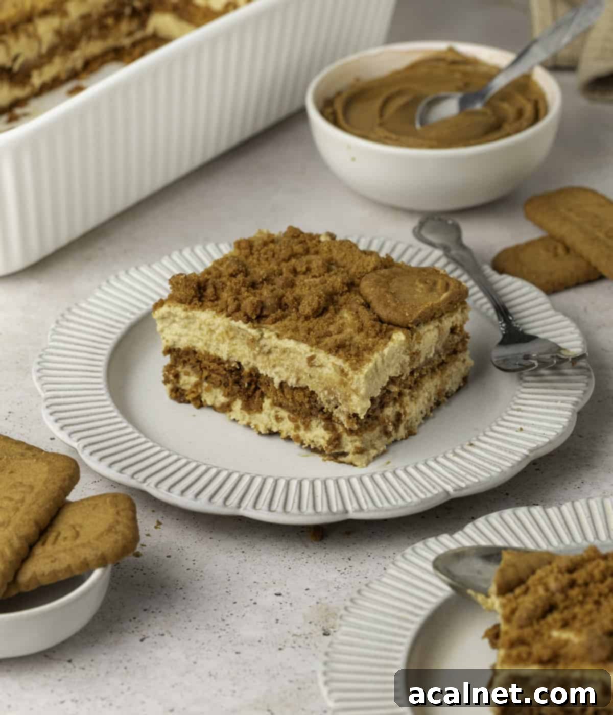 One slice of tiramisu on a white plate, ready to be enjoyed.