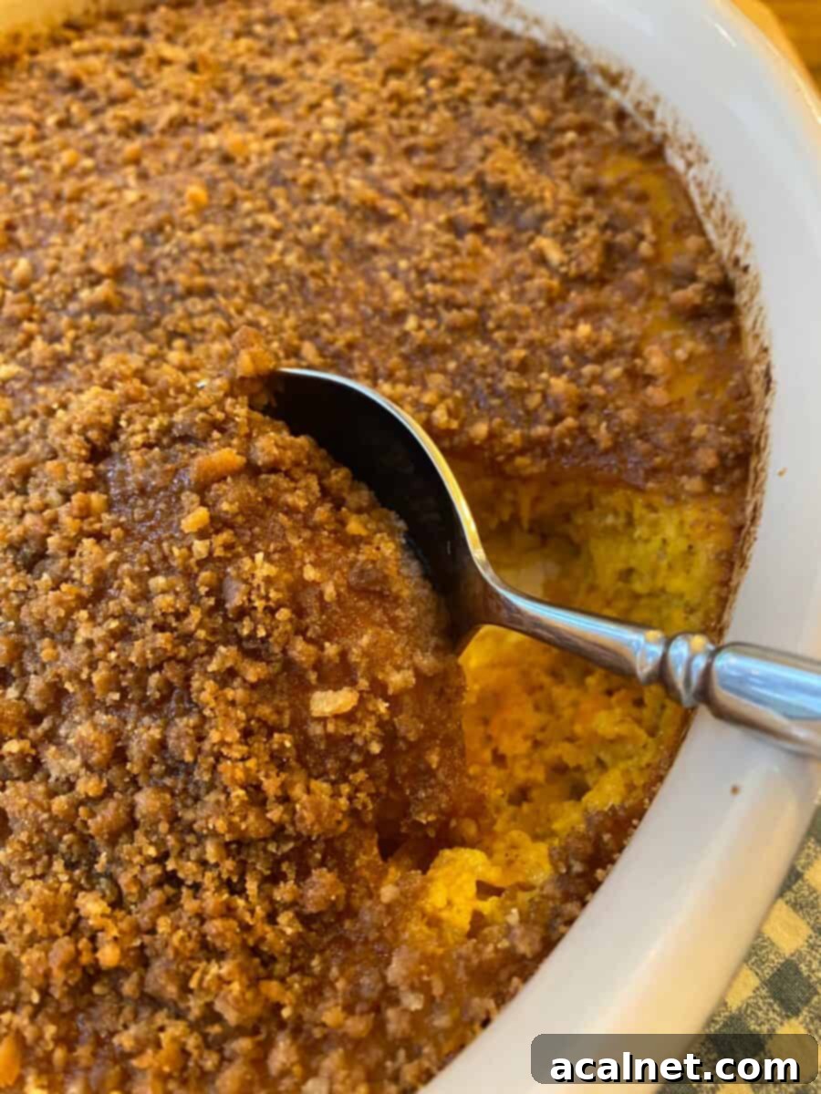 Baked cookie crumb casserole with a large serving spoon.