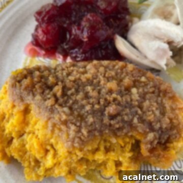 A scoop of casserole with chicken, cranberries and a sprig of rosemary.