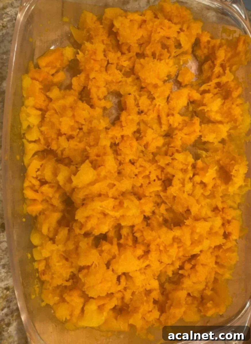 Baked butternut squash, mashed lightly.