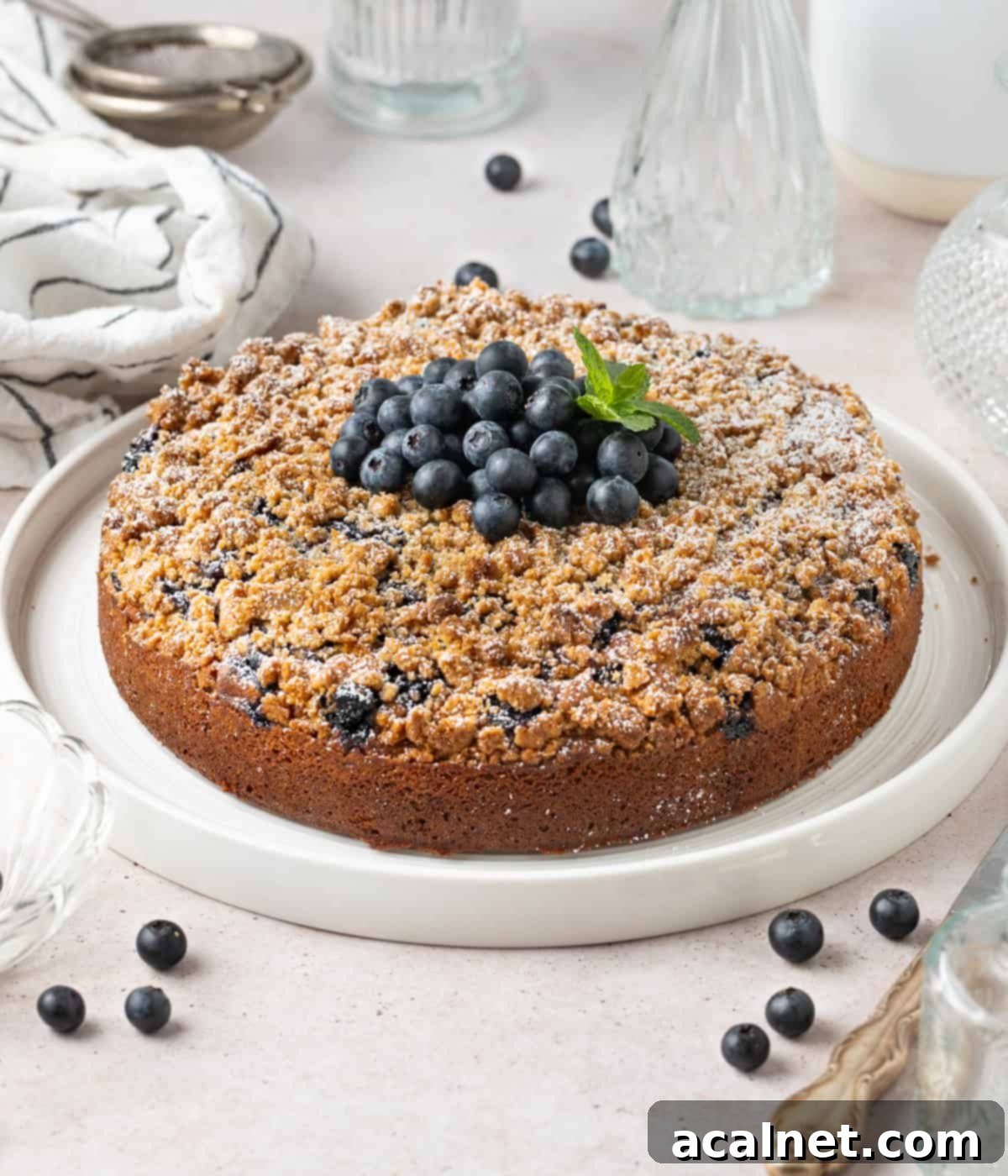 A freshly baked Blueberry Sour Cream Coffee Cake presented on a large white plate, garnished with fresh blueberries and a sprig of mint.