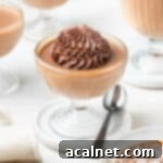 Creamy Chocolate Bliss 10 Chocolate Panna Cotta topped with cocoa whipped cream inside a dessert cup on top of a coaster.