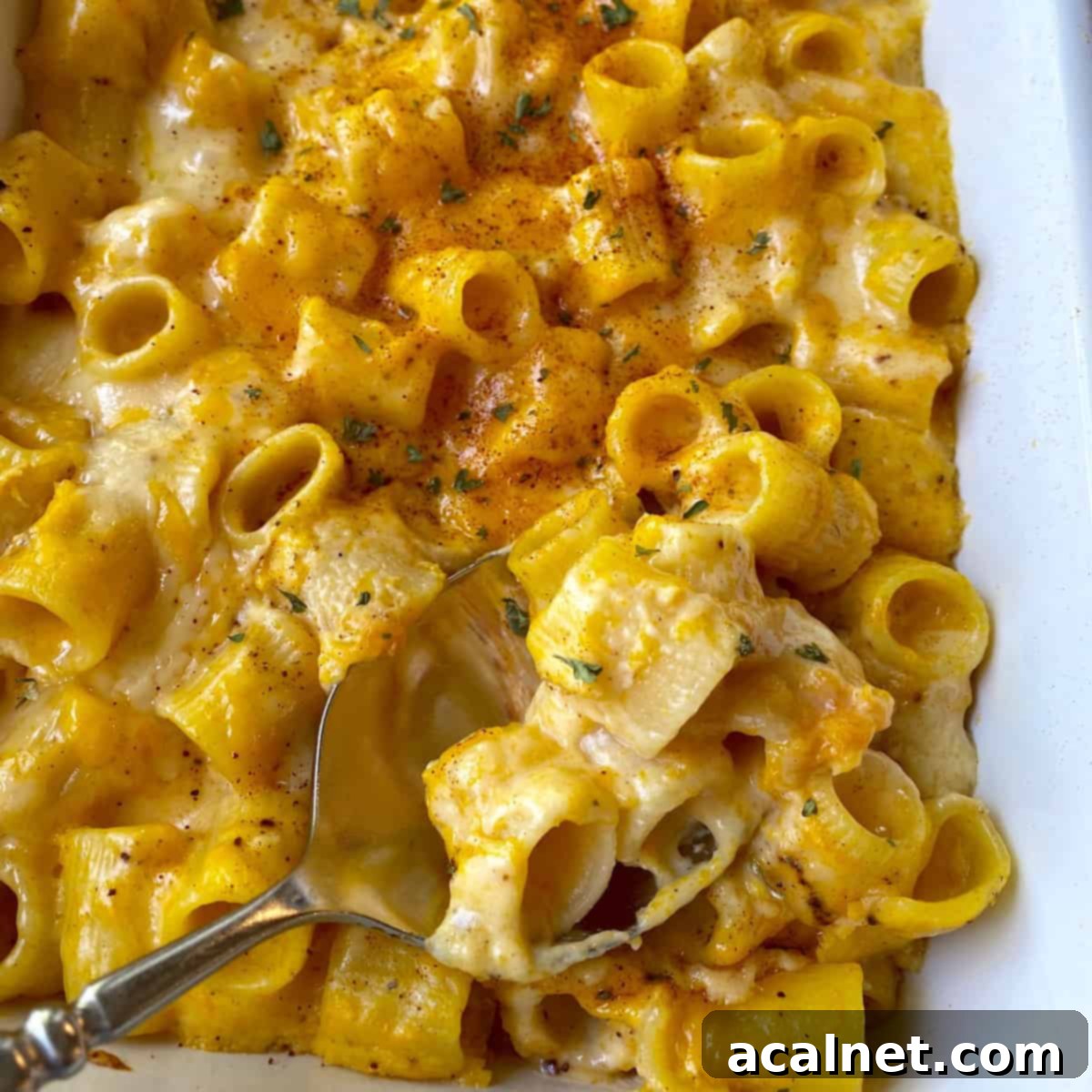 A beautifully baked dish of butternut squash mac and cheese, still bubbling around the edges, with a large serving spoon nestled in the creamy pasta.