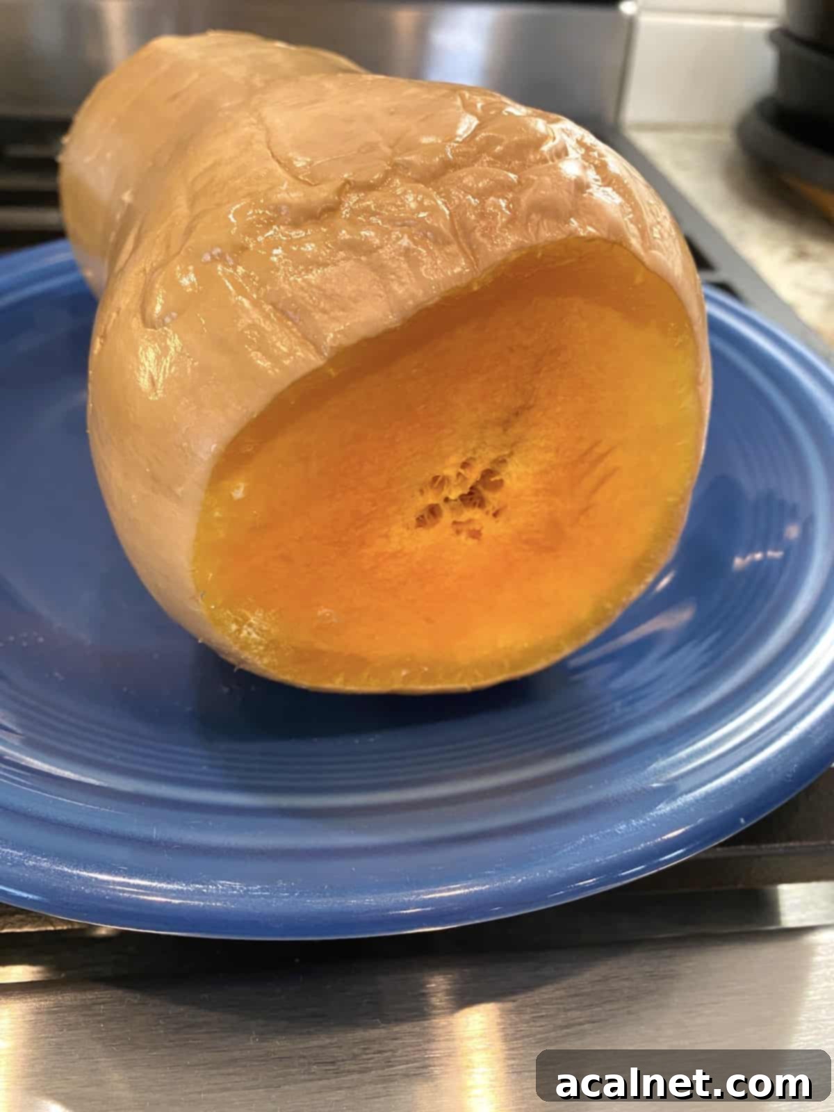 A whole butternut squash resting on a microwave-safe plate after cooking, with its dimpled and softened peel.
