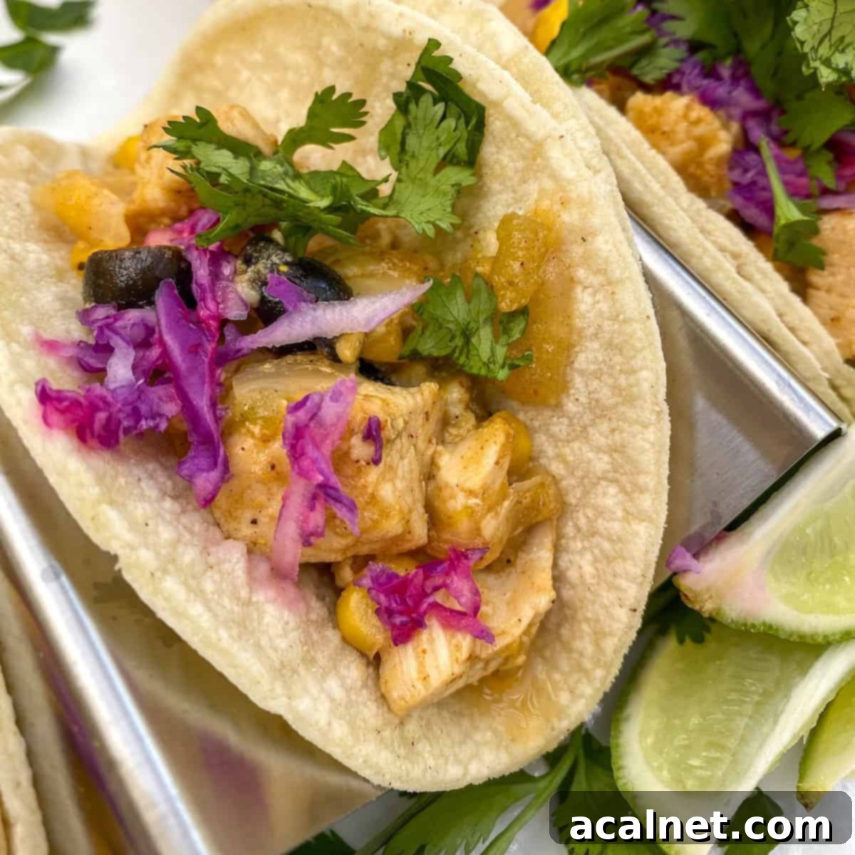 Chicken Street Tacos on a plate with lime and cilantro, showcasing a vibrant and fresh meal.