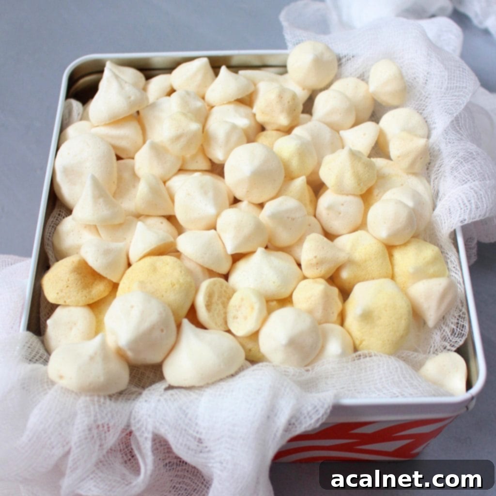 Aquafaba Meringue Kisses in a Metal Box, showcasing light and crispy vegan treats