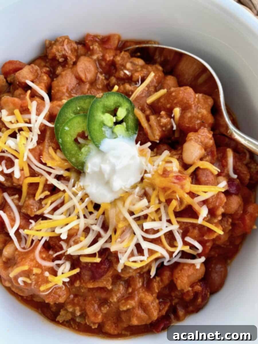 Hearty Idaho Chili 3 A rustic, deep bowl of Idaho Chili, richly red and steamy, topped generously with a swirl of cool sour cream, a mound of shredded yellow cheddar cheese, and a sprinkle of vibrant green chopped scallions. A spoon rests invitingly on the side of the bowl.