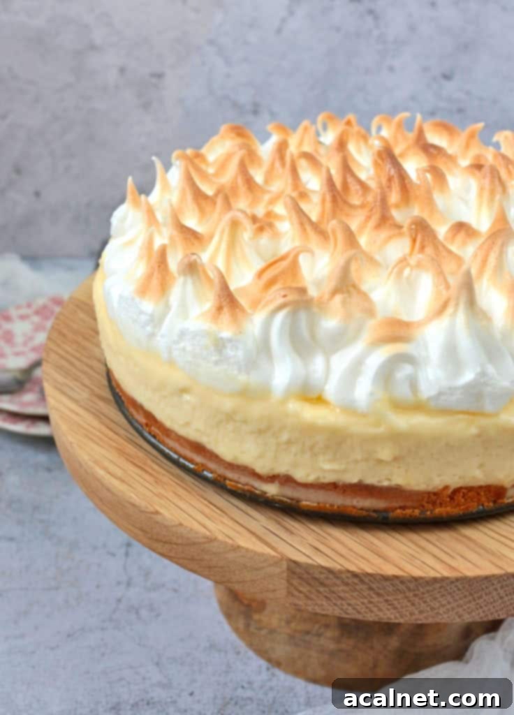 Close up on the Lemon Meringue Cake