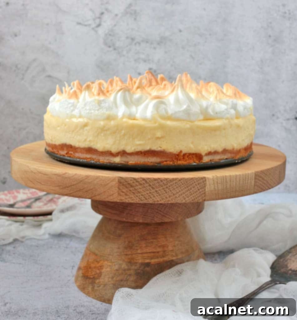 Lemon Mousse Cake with Toasted Meringue