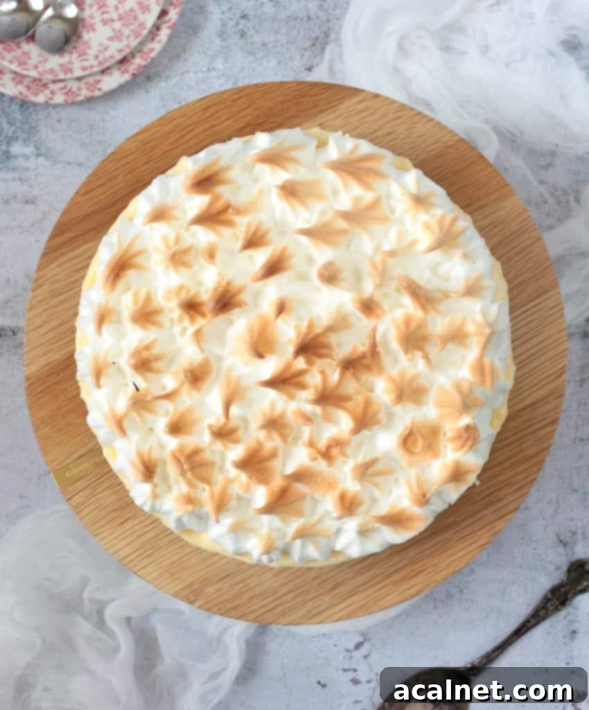 Lemon Meringue Cake from above